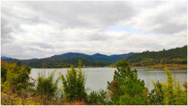 上猶潤達南湖國際旅游度假區項目正式啟動