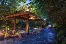 溫泉市場(chǎng)動(dòng)態(tài) 溫泉綜合體設(shè)計(jì)類型、產(chǎn)品創(chuàng)新及發(fā)展方向